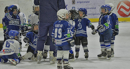 Ледовый комплекс «Riga Ice Land»